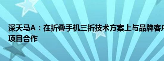深天马A：在折叠手机三折技术方案上与品牌客户已有预研项目合作