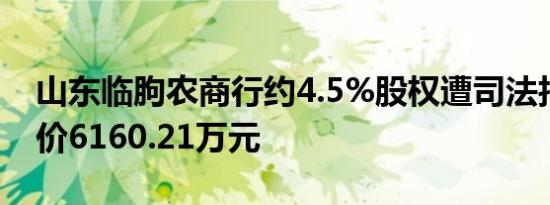 山东临朐农商行约4.5%股权遭司法拍卖起拍价6160.21万元