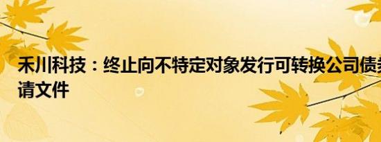 禾川科技：终止向不特定对象发行可转换公司债券并撤回申请文件