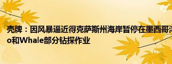 壳牌：因风暴逼近得克萨斯州海岸暂停在墨西哥湾的Perdido和Whale部分钻探作业