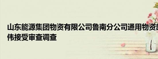 山东能源集团物资有限公司鲁南分公司通用物资部部长张世伟接受审查调查