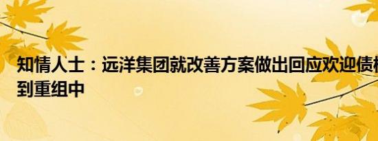 知情人士：远洋集团就改善方案做出回应欢迎债权小组参与到重组中
