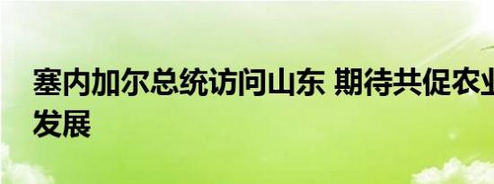 塞内加尔总统访问山东 期待共促农业现代化发展