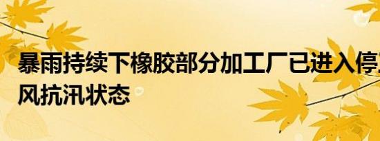 暴雨持续下橡胶部分加工厂已进入停工停产防风抗汛状态