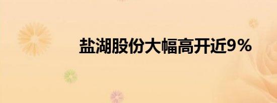 盐湖股份大幅高开近9%