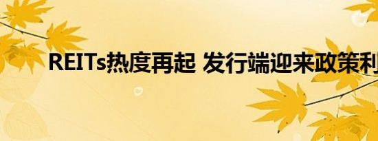 REITs热度再起 发行端迎来政策利好