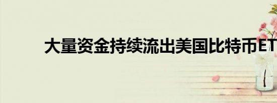 大量资金持续流出美国比特币ETF