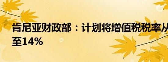 肯尼亚财政部：计划将增值税税率从16%降至14%
