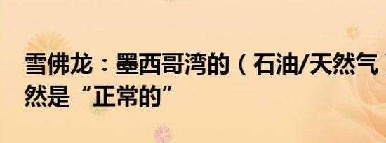 雪佛龙：墨西哥湾的（石油/天然气）生产仍然是“正常的”