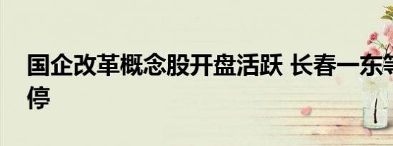 国企改革概念股开盘活跃 长春一东等多股涨停