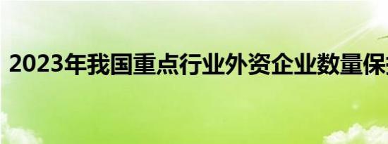 2023年我国重点行业外资企业数量保持增长