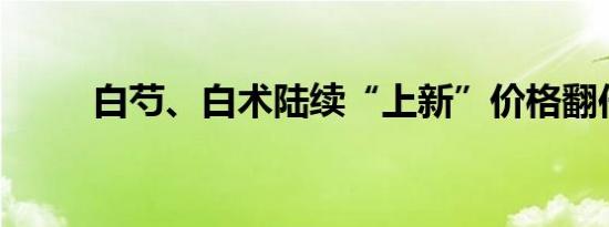 白芍、白术陆续“上新”价格翻倍