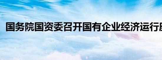 国务院国资委召开国有企业经济运行座谈会