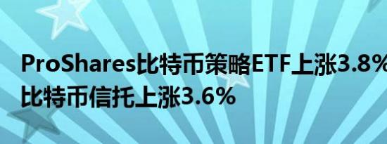 ProShares比特币策略ETF上涨3.8%iShares比特币信托上涨3.6%
