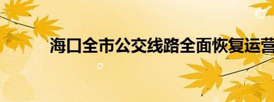 海口全市公交线路全面恢复运营