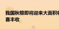 我国秋粮即将迎来大面积收获 各地经济作物喜丰收
