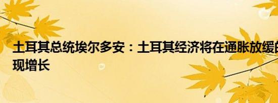 土耳其总统埃尔多安：土耳其经济将在通胀放缓的情况下实现增长