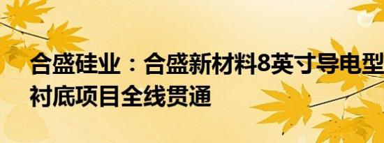 合盛硅业：合盛新材料8英寸导电型4H-SiC衬底项目全线贯通