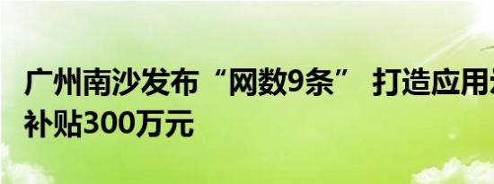 广州南沙发布“网数9条” 打造应用示范最高补贴300万元