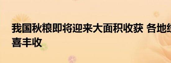 我国秋粮即将迎来大面积收获 各地经济作物喜丰收