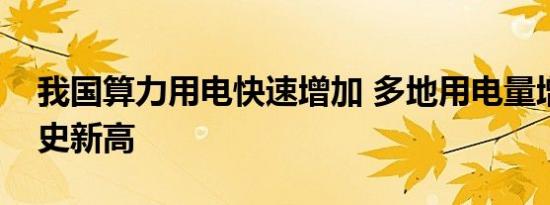 我国算力用电快速增加 多地用电量增速创历史新高