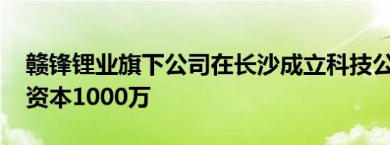 赣锋锂业旗下公司在长沙成立科技公司 注册资本1000万