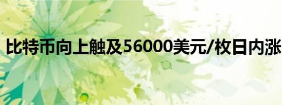 比特币向上触及56000美元/枚日内涨2.06%