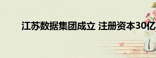 江苏数据集团成立 注册资本30亿元