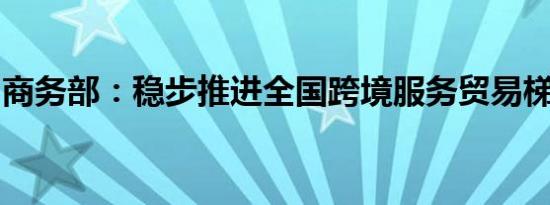 商务部：稳步推进全国跨境服务贸易梯度开放