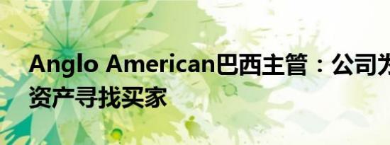 Anglo American巴西主管：公司为巴西镍资产寻找买家