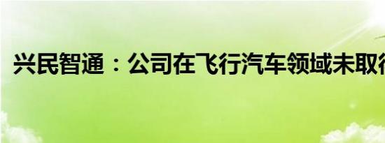 兴民智通：公司在飞行汽车领域未取得订单