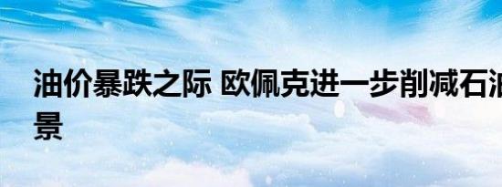 油价暴跌之际 欧佩克进一步削减石油需求前景