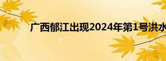广西郁江出现2024年第1号洪水