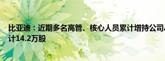 比亚迪：近期多名高管、核心人员累计增持公司A股股份合计14.2万股