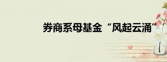 券商系母基金“风起云涌”