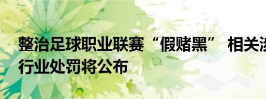 整治足球职业联赛“假赌黑” 相关涉事人员行业处罚将公布