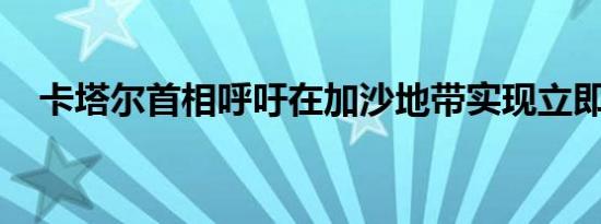 卡塔尔首相呼吁在加沙地带实现立即停火