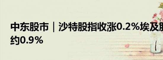 中东股市｜沙特股指收涨0.2%埃及股指则跌约0.9%