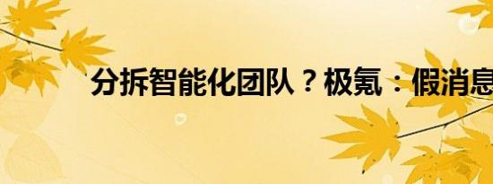 分拆智能化团队？极氪：假消息
