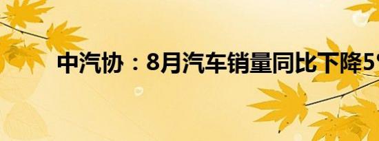 中汽协：8月汽车销量同比下降5%