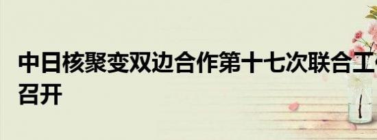 中日核聚变双边合作第十七次联合工作组会议召开
