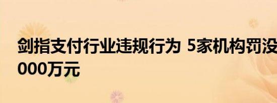 剑指支付行业违规行为 5家机构罚没金额逾3000万元