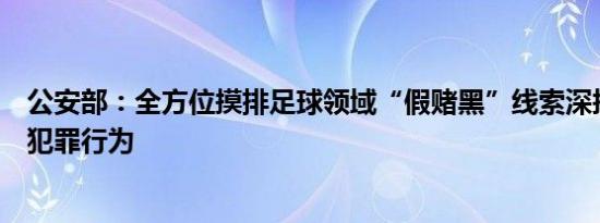 公安部：全方位摸排足球领域“假赌黑”线索深挖彻查违法犯罪行为