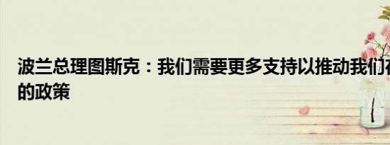 波兰总理图斯克：我们需要更多支持以推动我们在东部边界的政策