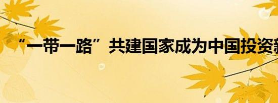 “一带一路”共建国家成为中国投资新风向