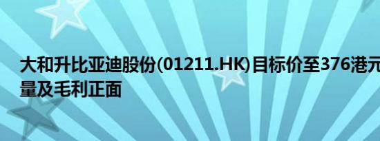 大和升比亚迪股份(01211.HK)目标价至376港元 下半年销量及毛利正面
