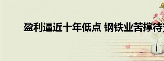盈利逼近十年低点 钢铁业苦撑待变