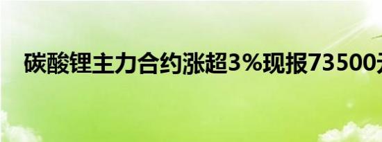 碳酸锂主力合约涨超3%现报73500元/吨