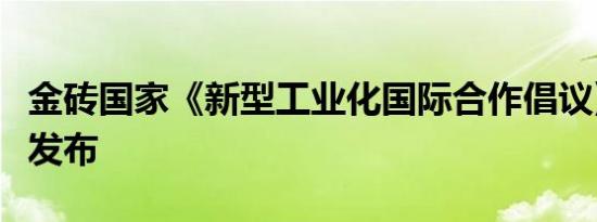 金砖国家《新型工业化国际合作倡议》在厦门发布