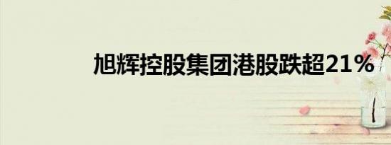 旭辉控股集团港股跌超21%